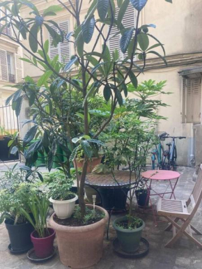 Appart charmant à Montmartre